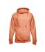 Sweat à capuche homme orange foncé Awdis