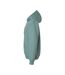 Unisex Adult Softstyle Fleece Midweight Hoodie Aquatic Gildan-3