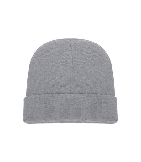 Absolute Apparel - Bonnet tricoté avec revers - Mixte (Gris perle) - UTAB159