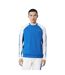 Mens Colour Block Stripe Sweatshirt Blue White Lacoste-1