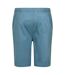 Short aldan homme bleu de gris Regatta