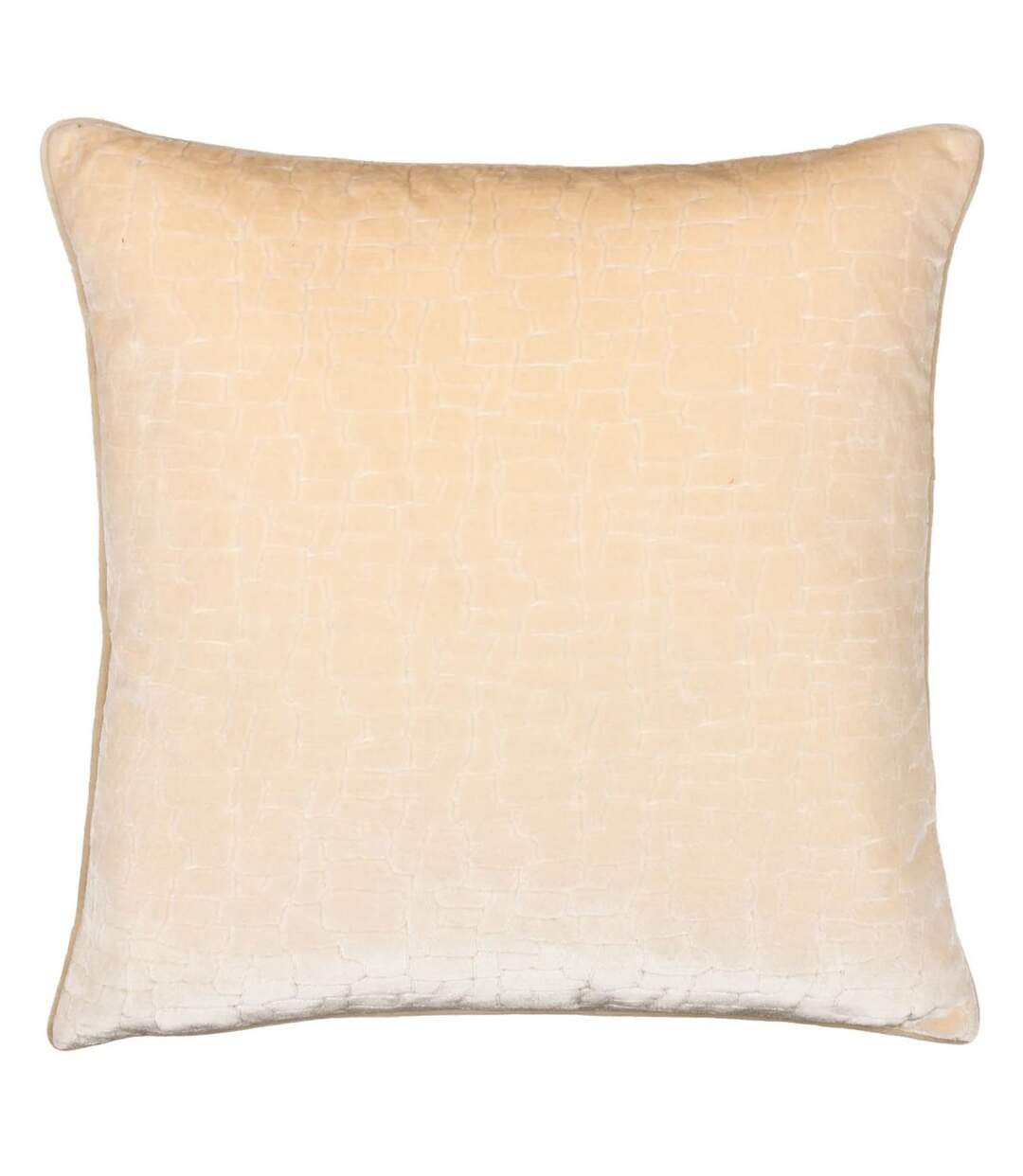 Bloomsbury velvet cushion cover 50cm x 50cm ivory Paoletti-1