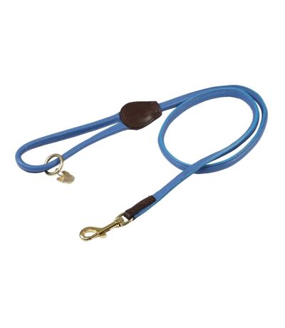 Rolled leather dog lead one size royal blue Digby & Fox