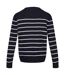Regatta Mens Cautley Striped Knitted Sweater (Navy/Silver Grey) - UTRG8856
