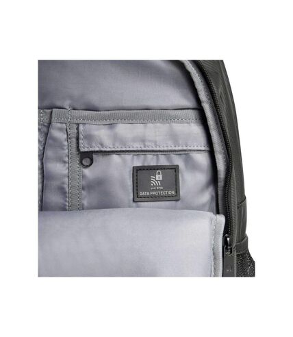 Sac à dos PC 15.6 DELSEY Aviator - graphite