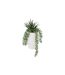 Plante Artificielle en Pot Visage 25cm Blanc-1