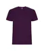 T-shirt Stafford Homme Violet Roly-1