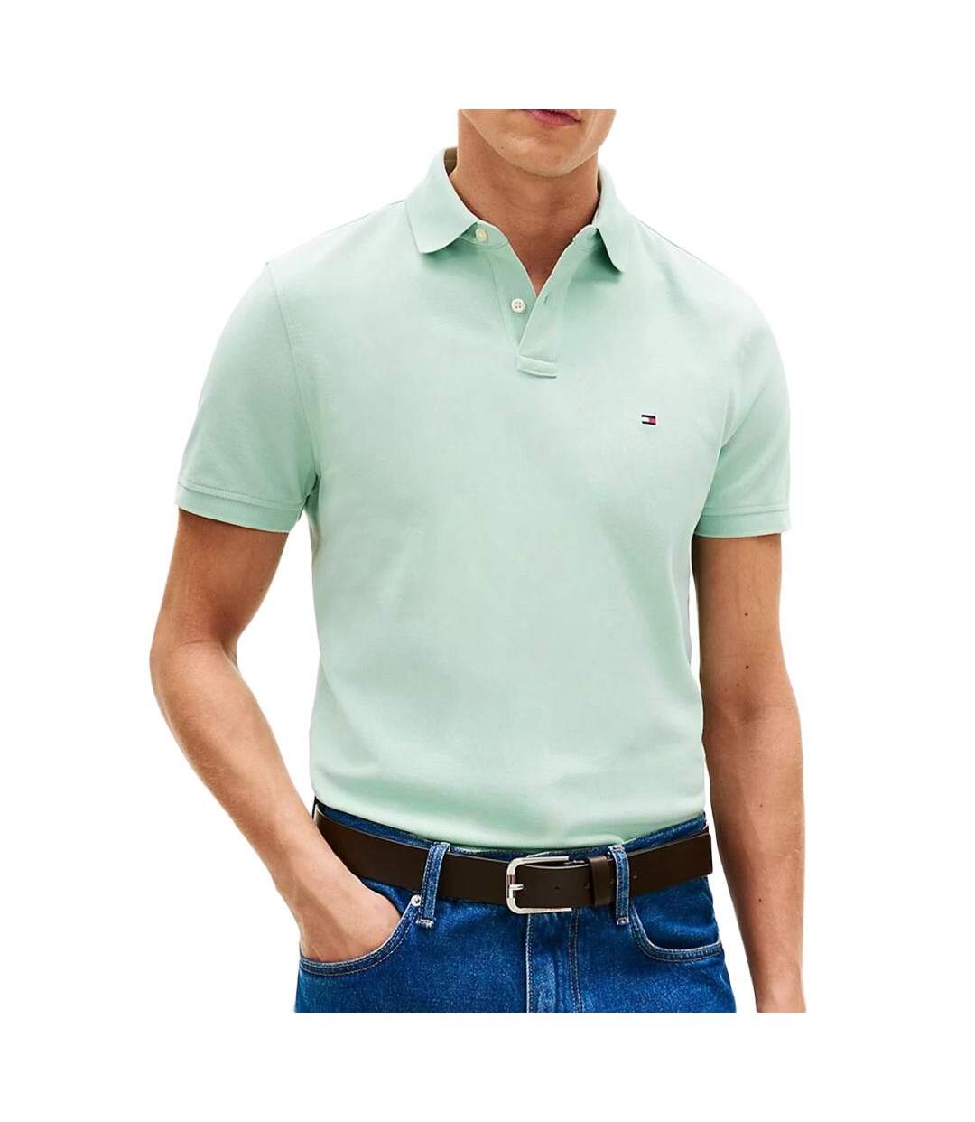 Polo vert clair homme tommy hilfiger 1985 regulars-1