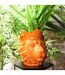 Statue & Porte Plante Lion 35cm Orange-3