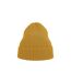 Bonnet Andy Moutarde Atlantis Headwear-2
