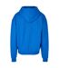 Build Your Brand - Veste à capuche - Homme (Bleu cobalt) - UTRW8469