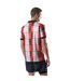 Mens palet percival football home jersey multicoloured Umbro-2