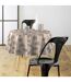 Nappe Toile Cirée Ronde Feuillys 160cm Beige Lin-4