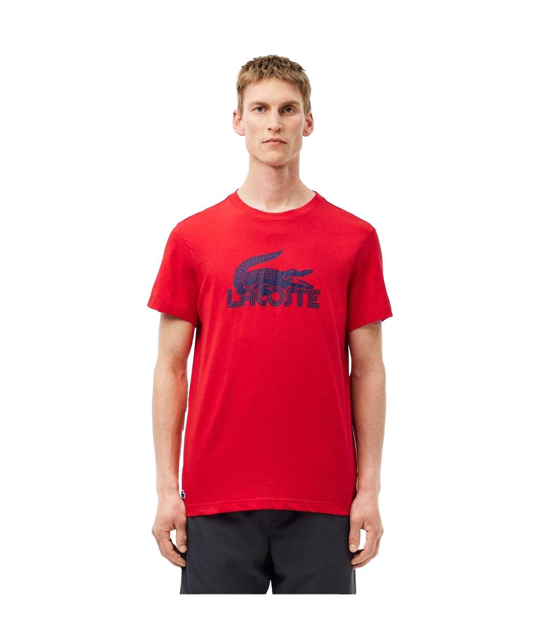 T-shirt Homme Rouge Bleu Lacoste-1