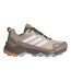 Chaussures De Randonnée Terrex Skychaser Femme Taupe Blanc Bleu Adidas-1