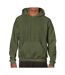 Sweat à capuche homme vert menthe Gildan