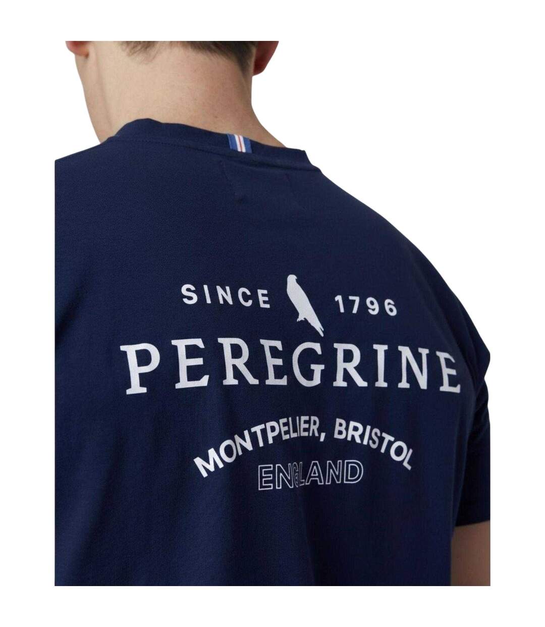 T-shirt Motif/style Imprimé Au Dos Homme Bleu Marine Peregrine-3