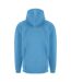 Mens Hoodie Sky PRO RTX-2