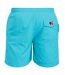 Duke Mens Yarrow Kingsize Full Length Swim Short (Blue) - UTDC193-2