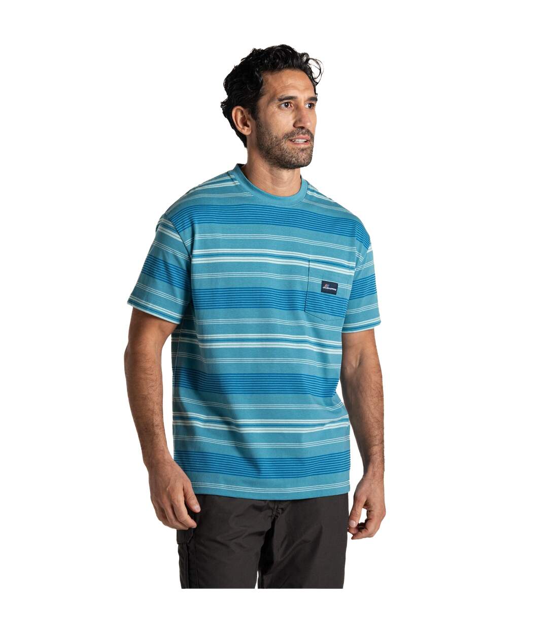 T-shirt Manches Courtes Motif/style À Rayures Pointer Homme Bleu Clair À Rayures Craghoppers-1