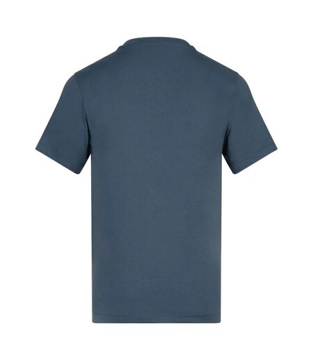 T-shirt Adulte Bleu Ardoise Awdis