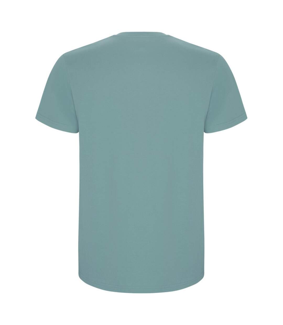 Mens stafford t-shirt dusty blue Roly-2
