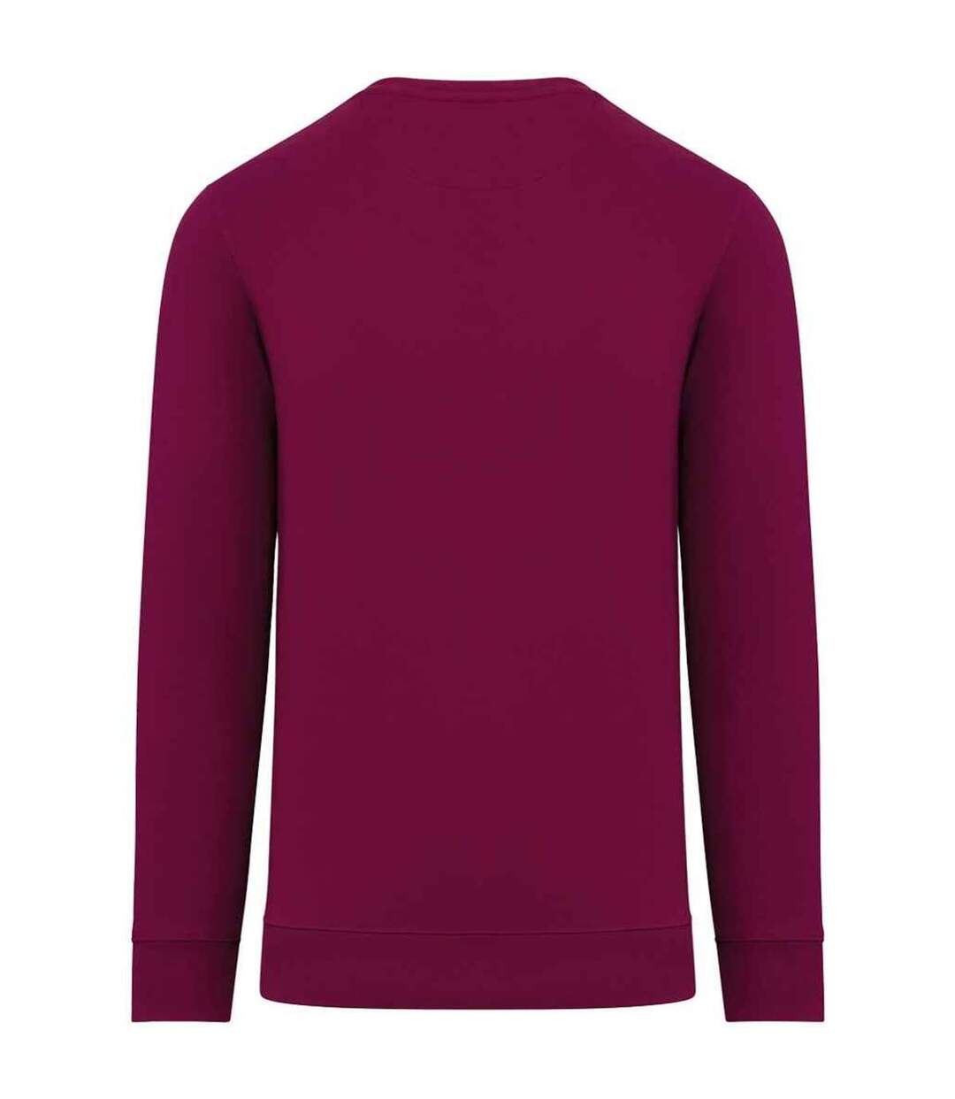 Sweat adulte cerise pourpre Native Spirit-2