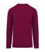 Sweat adulte cerise pourpre Native Spirit-2