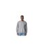 Sweat Softstyle Adulte Gris Chiné Gildan-1