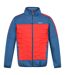 Regatta Veste isolée Clumber II Hybrid pour hommes (Bleu Dynastie/Rouge vif) - UTRG6619