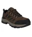 Mens Bandera Expedition Suede Low Walking Shoes Smokey Brown Khaki Green Hi-Tec-1