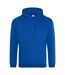 Sweat À Capuche College Adulte Bleu Roi Awdis-1