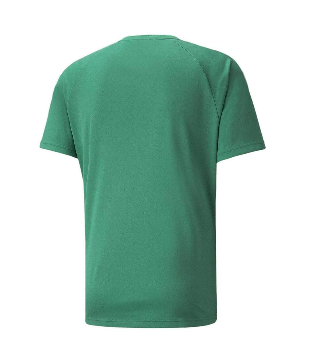 Mens Team Liga Striped T-shirt Green Black White Puma-2
