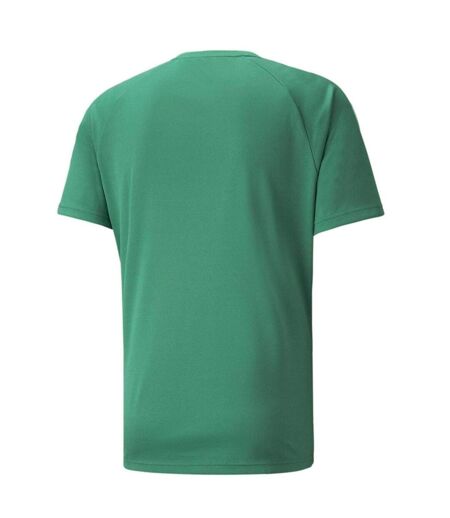 Mens Team Liga Striped T-shirt Green Black White Puma