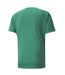 Mens Team Liga Striped T-shirt Green Black White Puma-2
