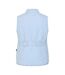 Womens/ladies Quilted Gilet Sky Lazy Jacks-2