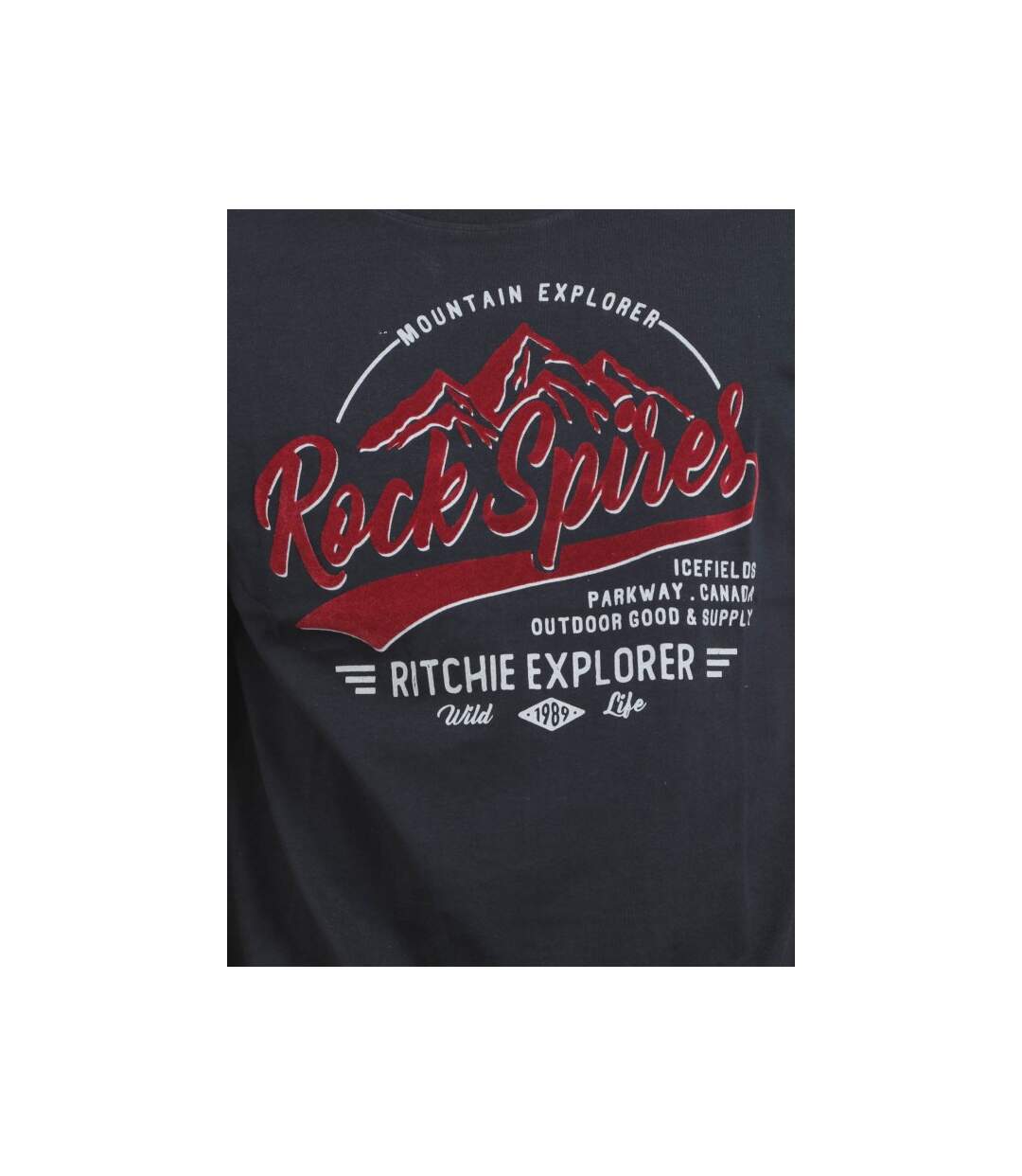 T-shirt col rond pur coton JUPITOLI-3