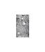 Papier Peint Pearls on Concrete 50x1000cm-2