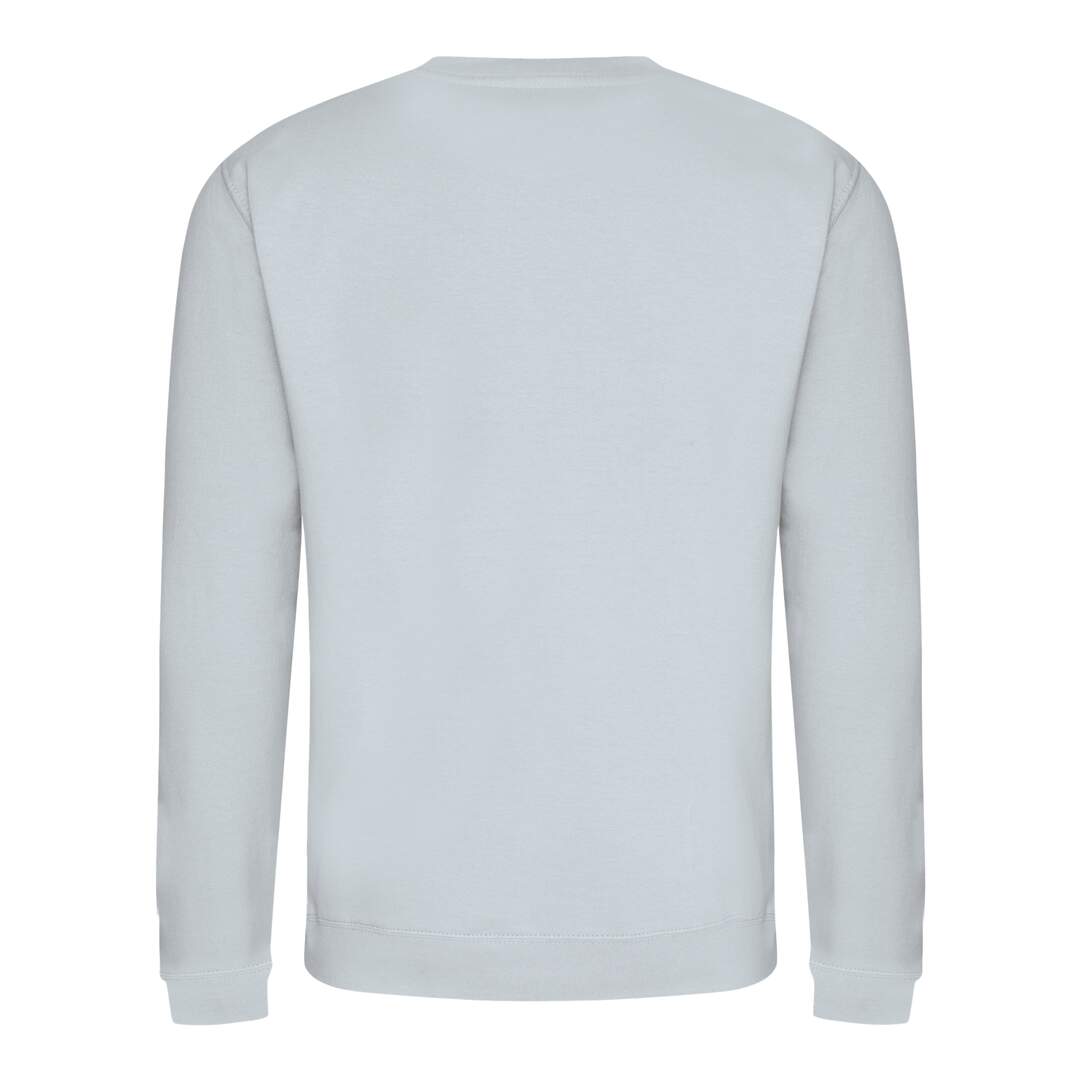 Sweatshirt hommes turquoise clair Awdis-1