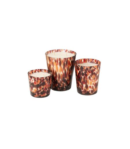 Bougie Parfumée Noa 20cm Magnificient Birch