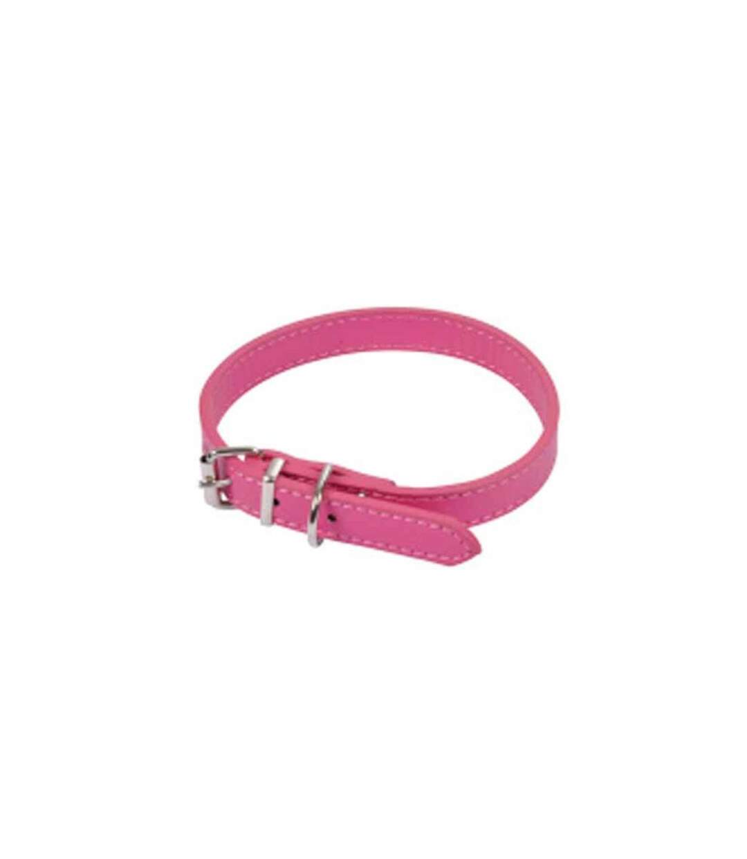 Collier pour Chien Design Uni 30cm Fuchsia-1