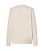 Mens Ellipse Cotton Sweatshirt Mist Oakley-2