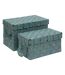 Lot de 2 Boîtes de Rangement Lise 35cm Vert-1