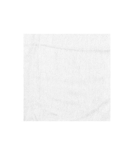 Lot de 2 Torchons Microfibre 30cm Blanc