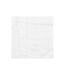 Lot de 2 Torchons Microfibre 30cm Blanc