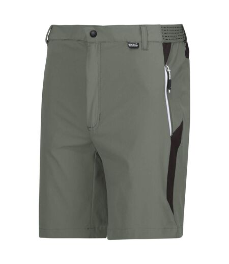 Mens mountain ii shorts agave green/ash Regatta