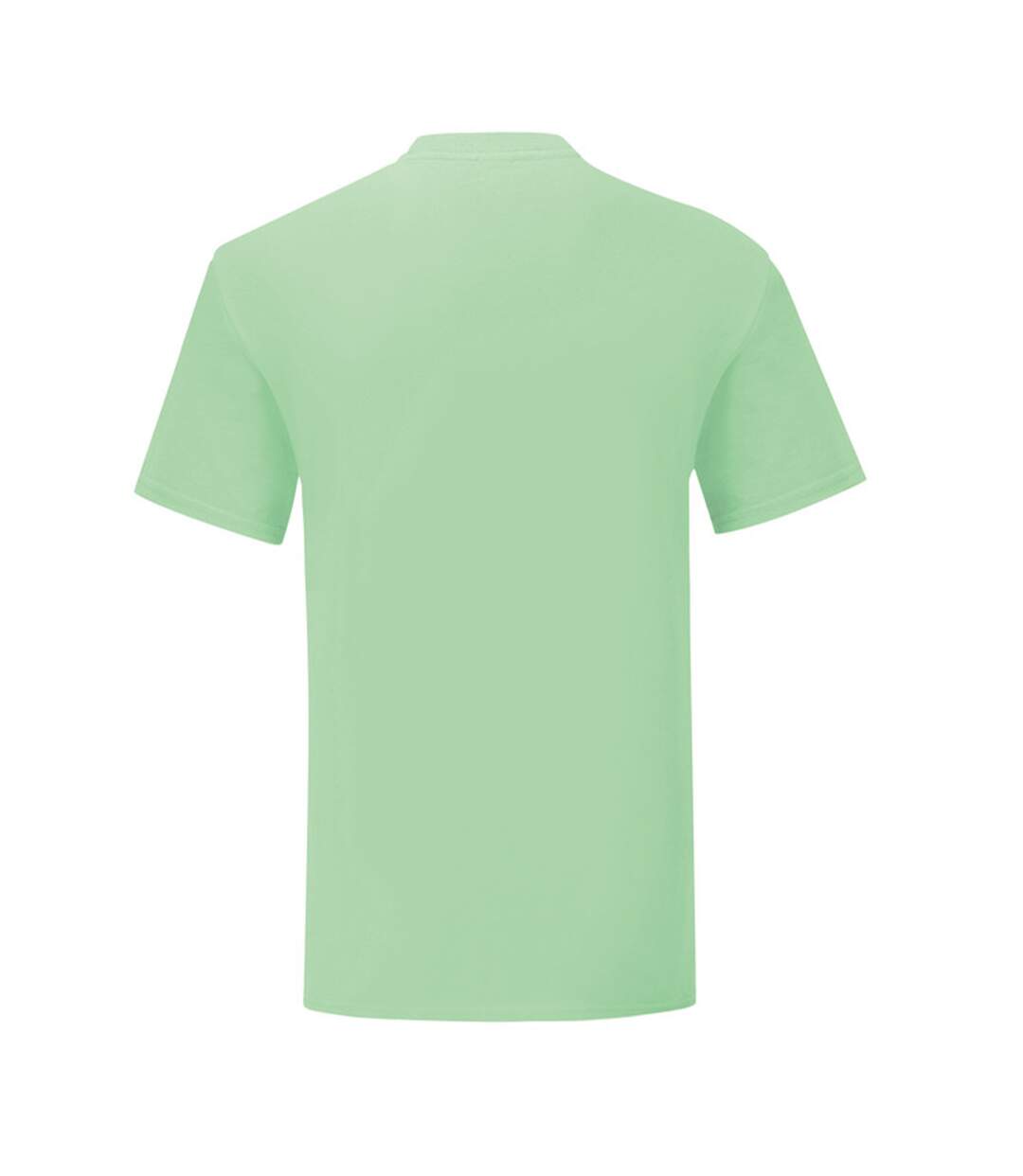 T-shirt Iconic Homme Vert Pâle Fruit Of The Loom-2