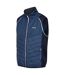 Regatta Mens Steren Hybrid Soft Shell Jacket (Blue Wing/Navy)