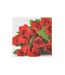 Lot de 20 Serviettes en Papier Bouquet 33x33cm Rouge-1