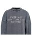 Sweat Motif/style Lettrage Nyc Homme Gris Délavé Everlast-3